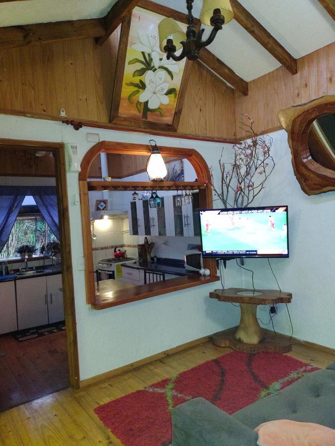 Complejo Cabanas Petalos Villarrica Exterior foto