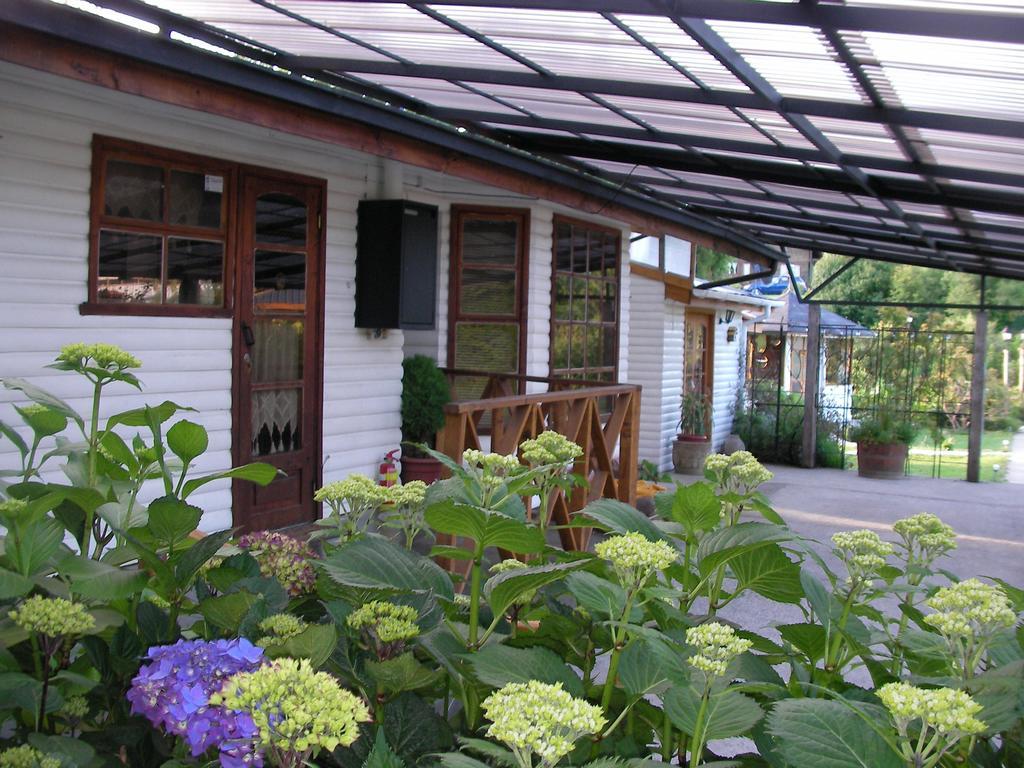 Complejo Cabanas Petalos Villarrica Exterior foto