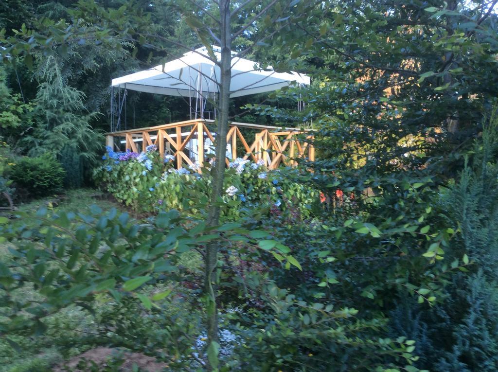 Complejo Cabanas Petalos Villarrica Exterior foto