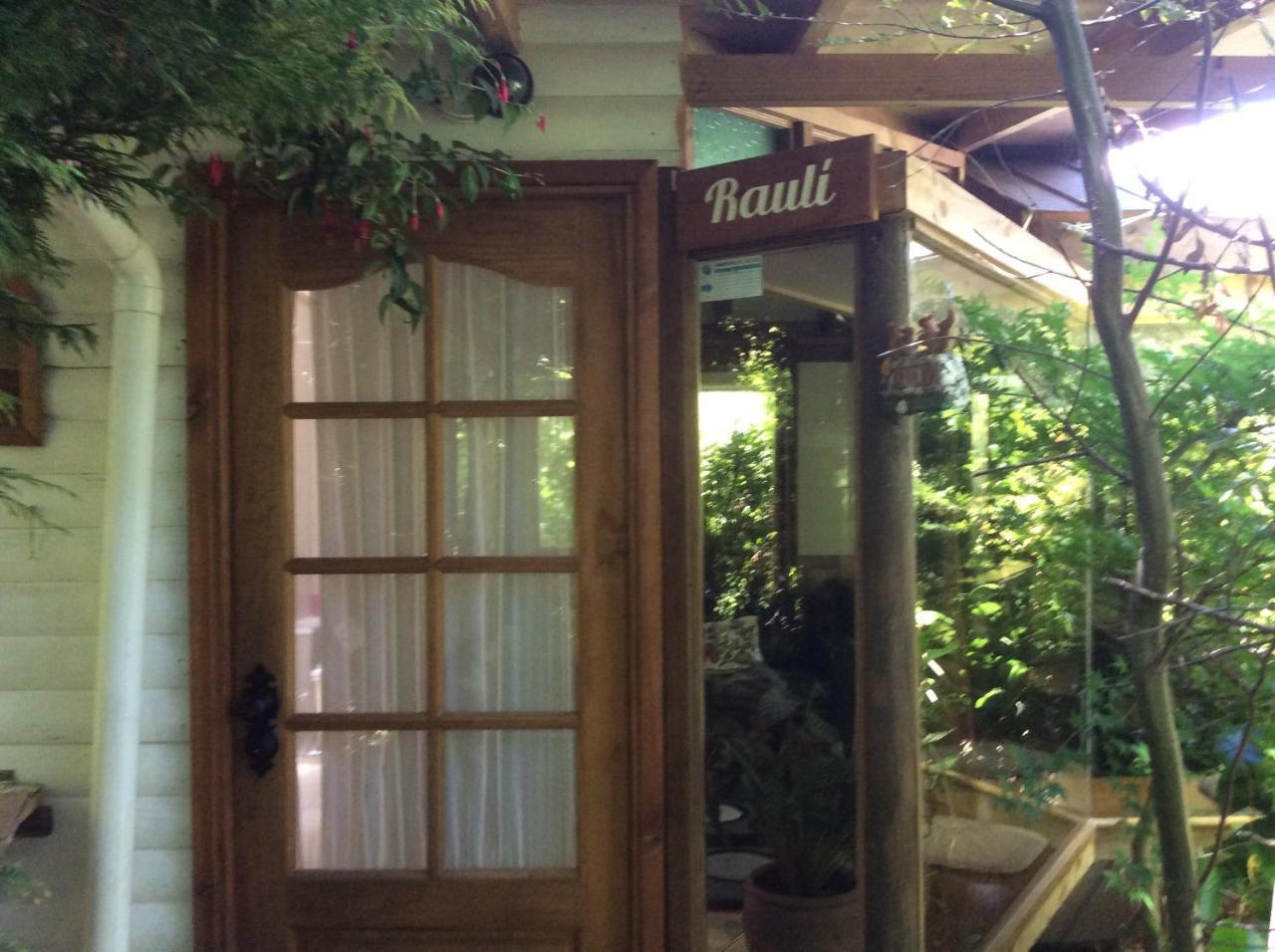 Complejo Cabanas Petalos Villarrica Exterior foto