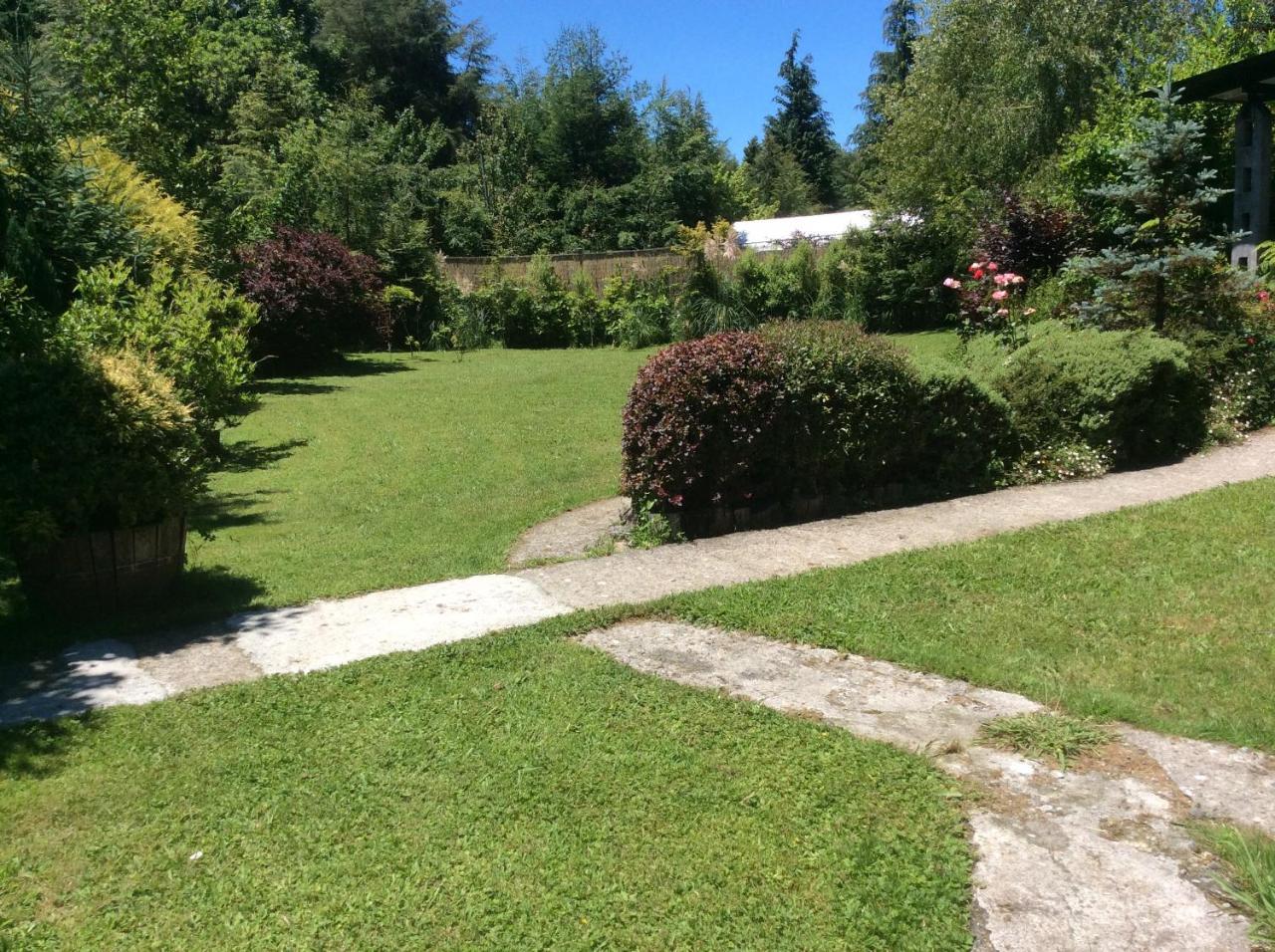 Complejo Cabanas Petalos Villarrica Exterior foto